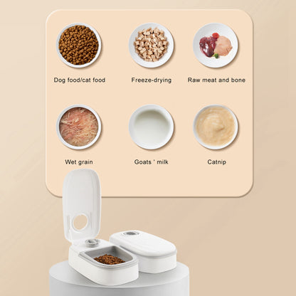 Automatic Pet Feeder for Cats & Dogs – Smart Timer Food Dispenser with Stainless Steel Bowl